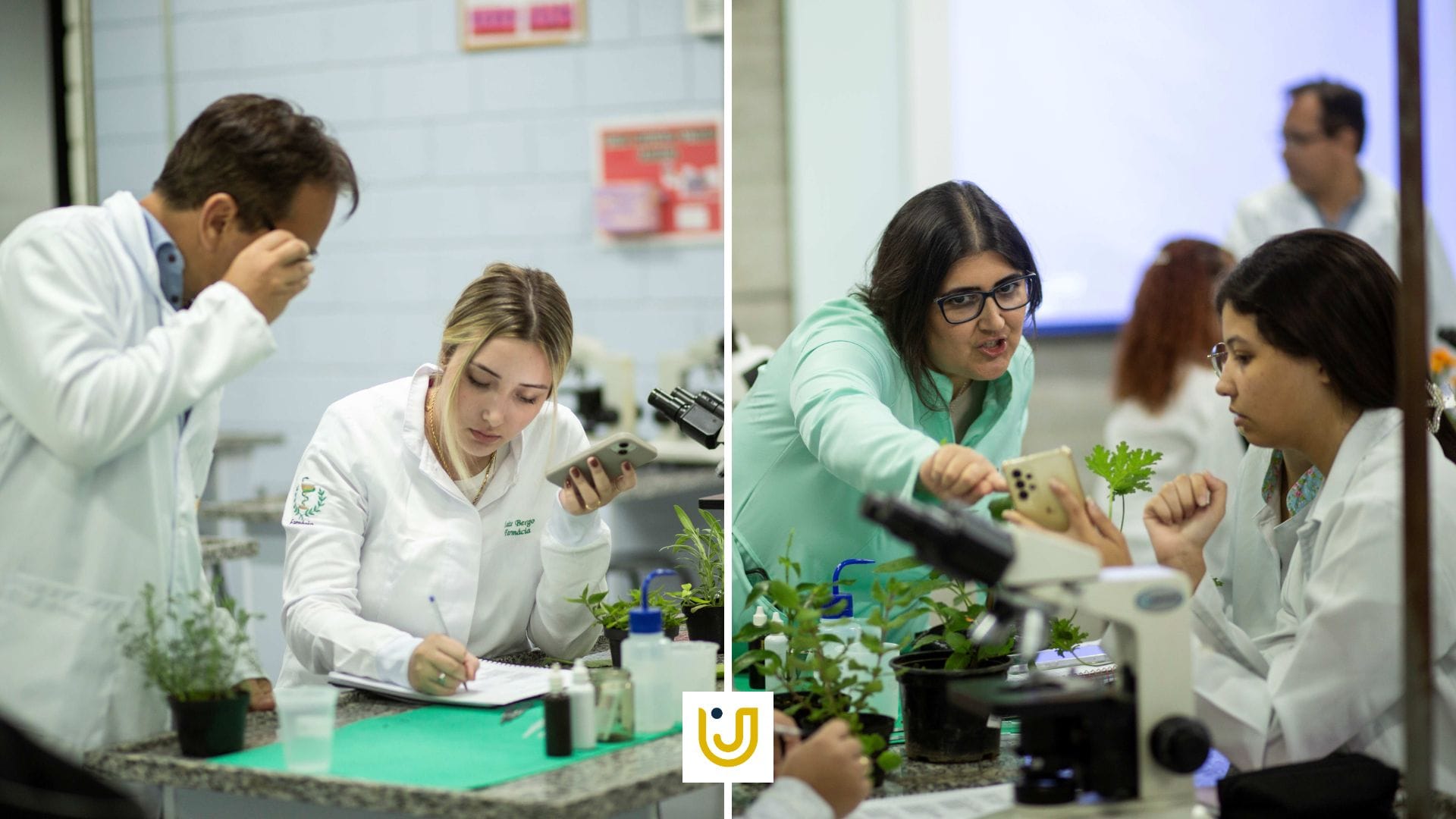 O processo de capacitação dos profissionais de Farmácia é o grande diferencial da UniFAJ e da UniMAX, focado no aprendizado na prática.